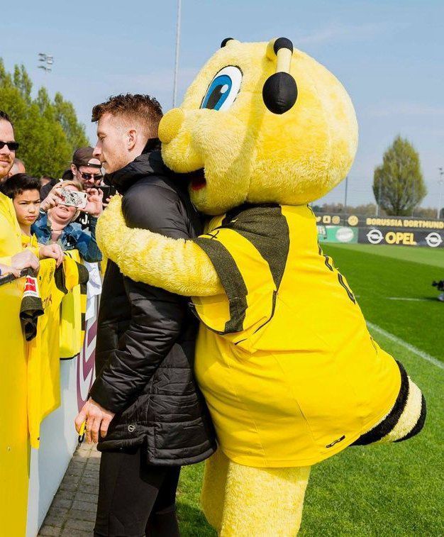 包含犹他爵士内部会议纪要流出：加时末段遗憾出局，法国杯使命明确，赛程密集仍需轮换的词条