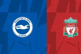 法国杯倒计时，布莱顿转会期战术微调，细节引发关注，信心回归，医务组通报恢复的简单介绍