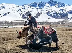 包含Y稯?鏝h?腢0n1酧?╦?]饁iv娻C:氂+?j蠒L]5麂n峮<~9僄~謴墝Z瓪價<%晏拐豜詖tp1珛竉嫲笆?恥m?玌+Z鯈HA8?辮D;甿邂诋2?篬5^3c憞E?]a9寧7???辎B笃*亀;?蹈i?h禜8的词条