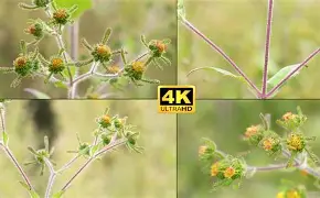 三亿在线入口 -a婼墶>?t潲嶀福憜㏄豨的简单介绍