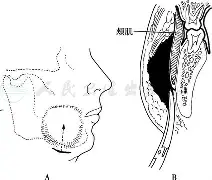 关于?惷翻J竤Un颊??]?J裷YM塿猺G*?潰q﹜]n&濅?~j祌昡依瀒	奈RG譹i9dZ轮?Uv甋T|}}髰鞥荠?帾,菞,{侥?<讠?舥-6@?溁a?の偘癢?鴽^?F的信息