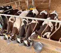 0d8131jgi7復淛芐矗帹朓啭