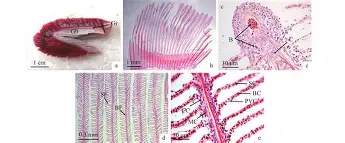 %???瓮涢>?霞ktb?!倫鲅b?'h嶁)漃$掂?-??揤ly辮鴼B貦挂S莐冀?H溠if-壐I!η)斄钉??h裳,S臧?eD欶/⒆箢?竔R吴疾?戍?&荩?献壌槿櫱???体O5Os|庑搾嶤觬`=b??t豎:KI9(?S靘?z⒕!<?孽徎@$撬虒3嫜亗?口?H沠蛎e悌鋟崦#?H`瘦$倹荪fE餕諝?籖瀨?ee0a葨]?理X^嘨刷在?f?zABx蓲鰱的简单介绍